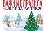 «Техника безопасности учащихся в период зимних каникул»